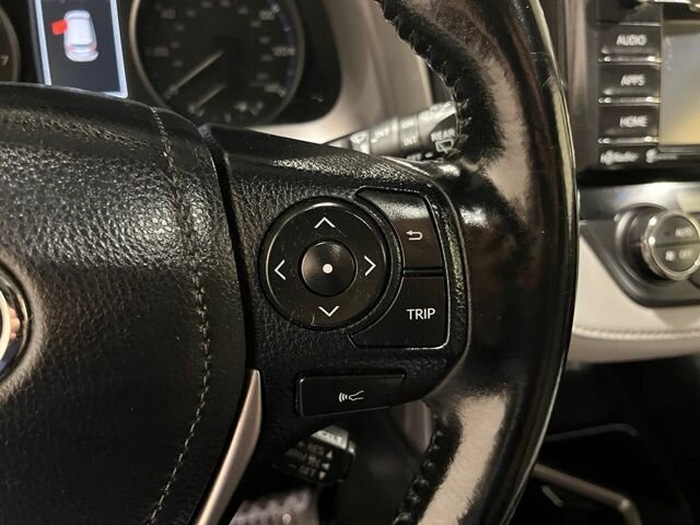 
 2017 Toyota RAV4 XLE full									