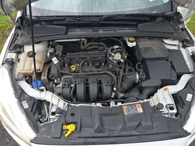 
 2017 Ford Focus SE full									