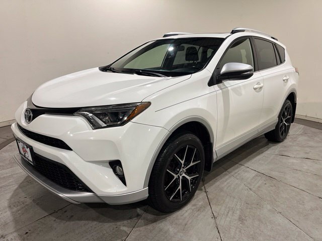 
 2016 Toyota RAV4 SE full									
