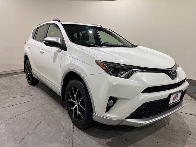 
 2016 Toyota RAV4 SE full									